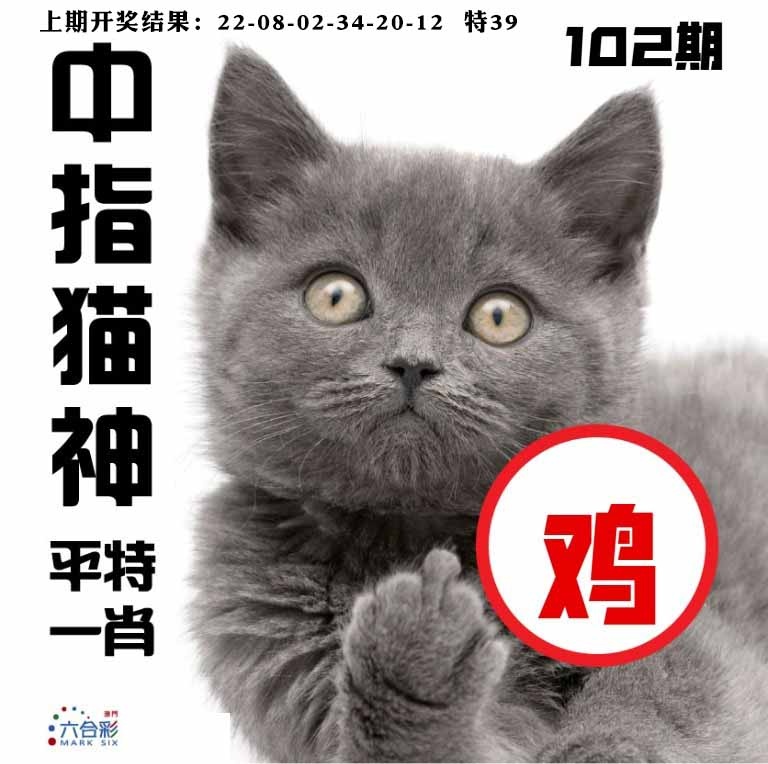 102期中指猫神[图]