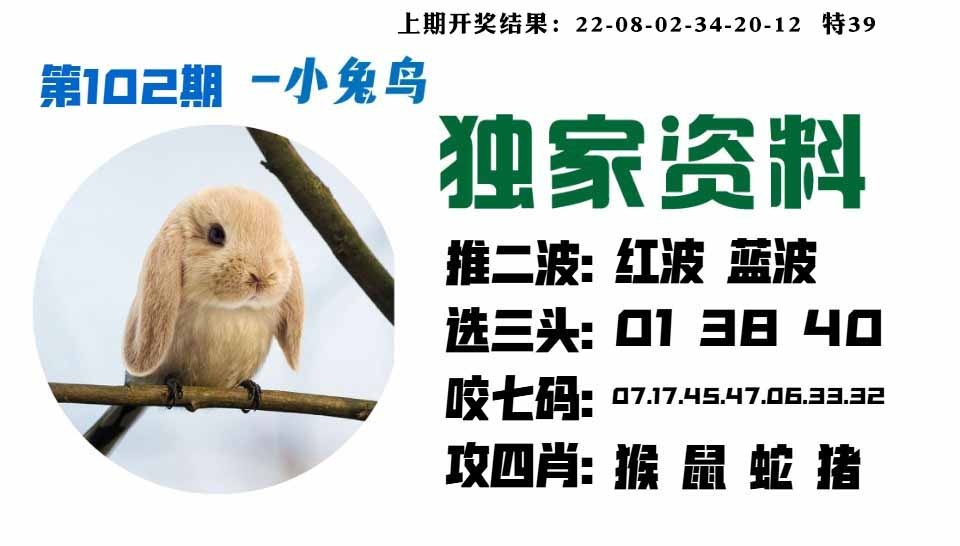 102期小兔鸟[图]